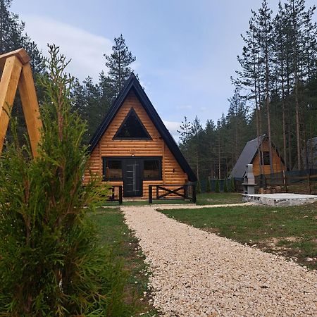 Pine Forest-Black Žabljak Kültér fotó
